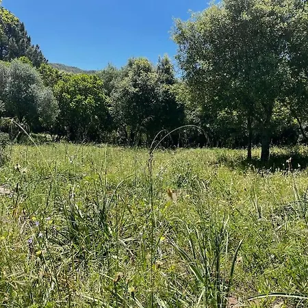 别墅 Casa Altura 科蒂基亚瓦里