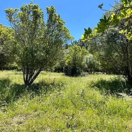 Casa Altura * 科蒂基亚瓦里